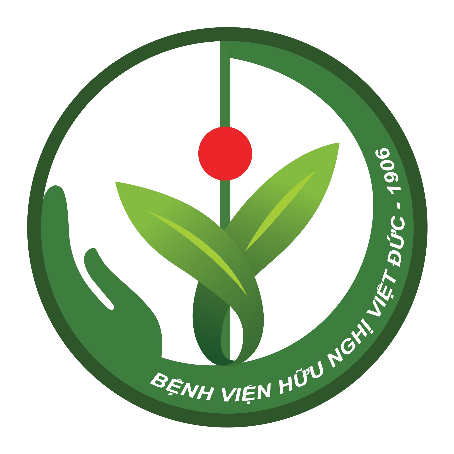 453033843_895590532606311_3846318672471919938_n